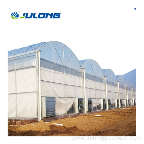 Agricultural Hydroponic Systems Multi-span Film Greenhouse